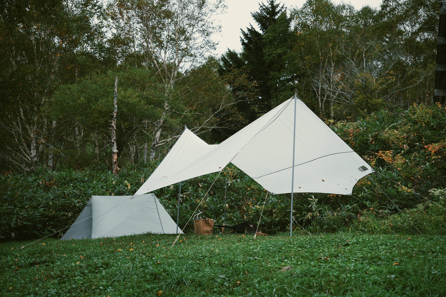 Nature-D28EE55A492F.JPG__PID:72b51644-a23f-435f-bb1e-26c76e986e5a